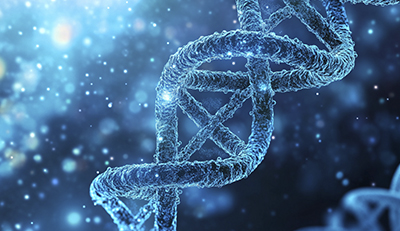 Life Sciences